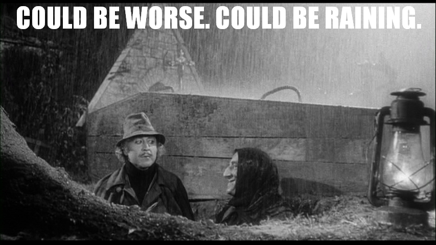 Featured image of post Could Be Worse Could Be Raining Meme