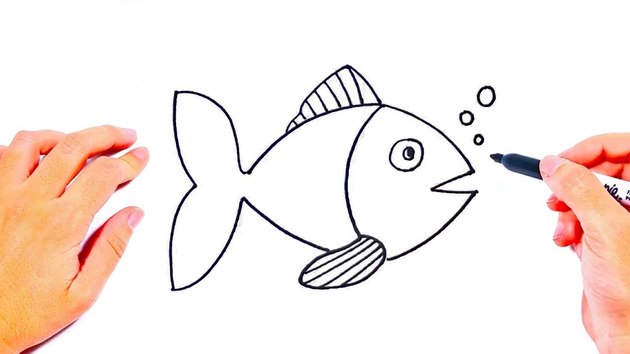 Featured image of post Easy Simple Fish Drawing Small