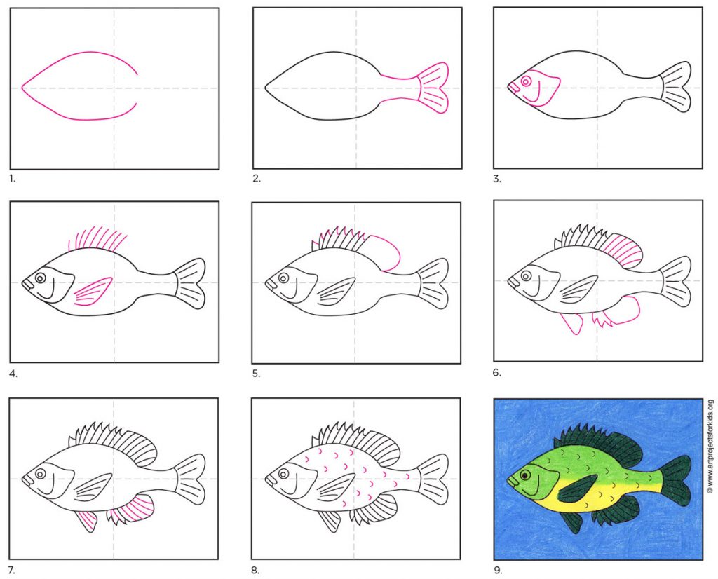 Featured image of post Easy Simple Fish Drawing Step By Step