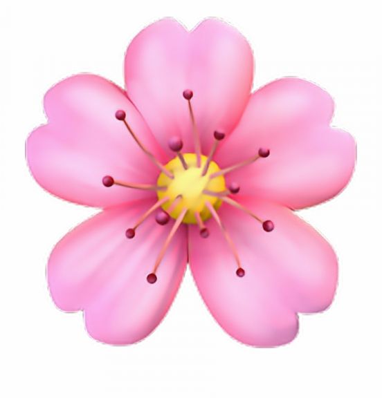 Featured image of post Flower Transparent Emoji Iphone