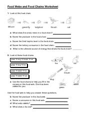Featured image of post Food Webs And Food Chains Worksheet Pdf Answer Key