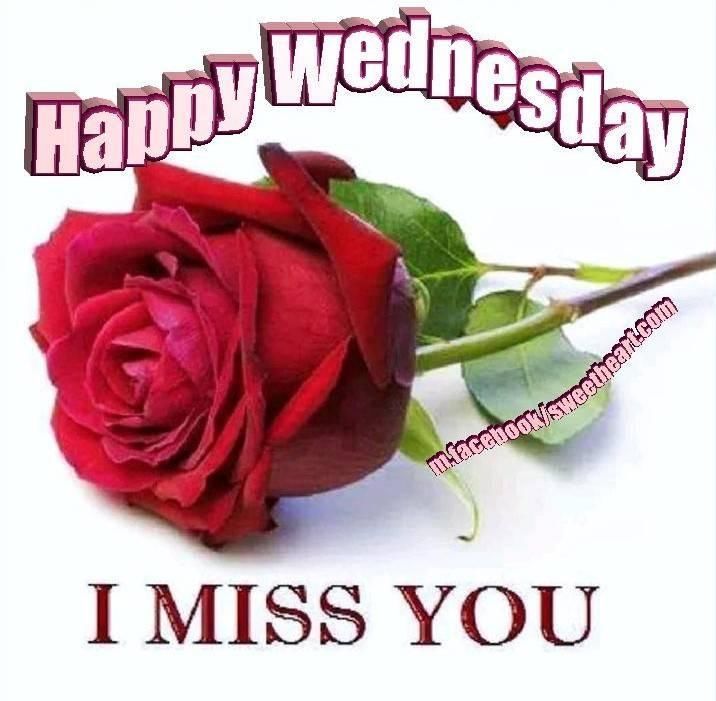 Featured image of post Happy Wednesday Miss You