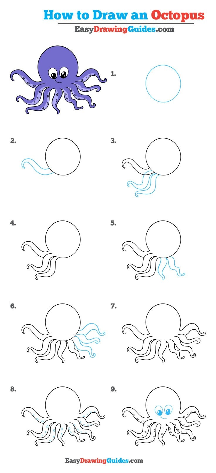 Featured image of post How To Draw An Octopus Step By Step