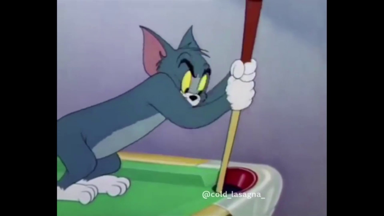 Featured image of post Lion Sleeps Tonight Meme Compilation