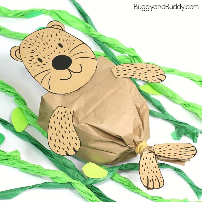 Featured image of post Otter Craft Ideas