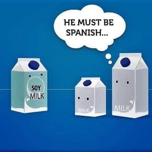 Featured image of post Soy Milk Puns