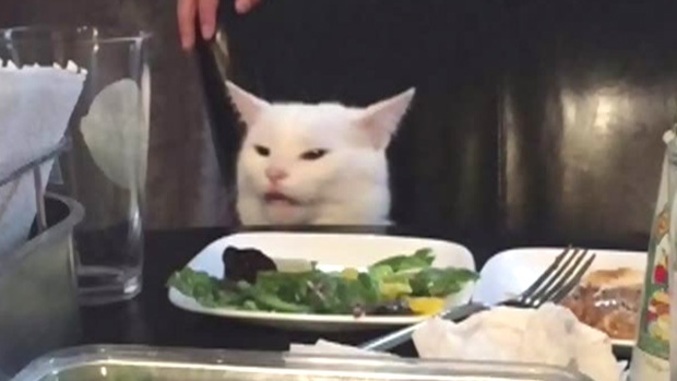 Featured image of post White Cat Eating Salad Meme